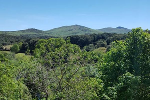 Casa Peña Sierra de Francia bosque